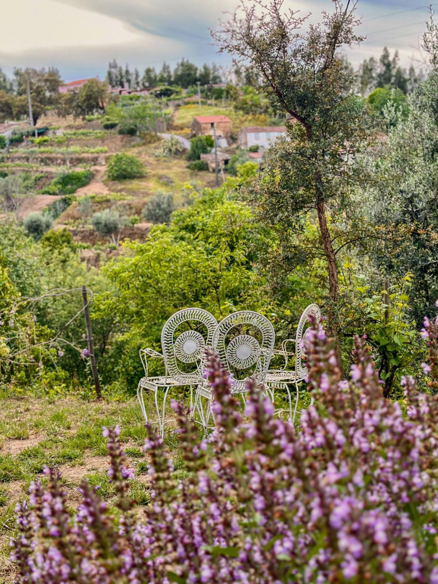 Hotel Glamping do Zê à Cernache do Bonjardim Extérieur photo