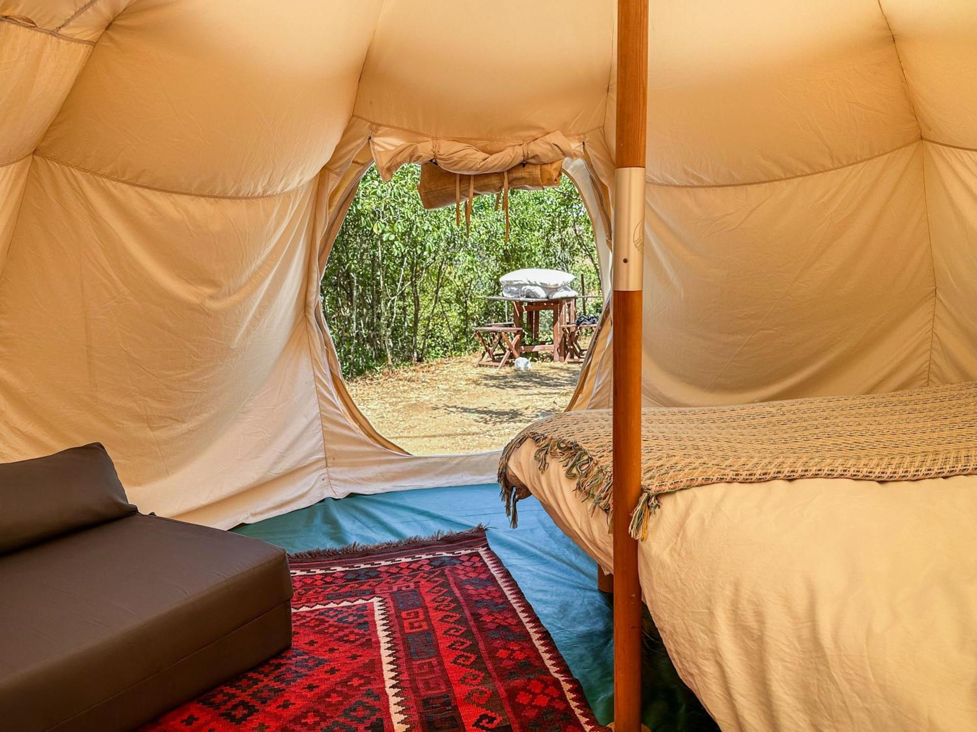 Hotel Glamping do Zê à Cernache do Bonjardim Extérieur photo